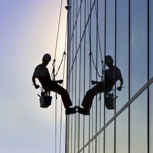 Window cleaner